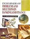 Encyclopaedia of Problems and Solutions in Banking and Finance - Hardcover