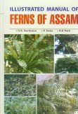 Illustrated Manual of Ferns of Assam
