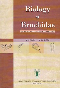 Biology of Bruchidae