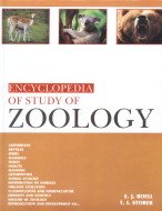 Encyclopaedia of Study of Zoology in 3 Vols