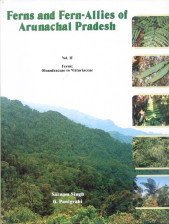 Ferns and Fern Allies of Arunachal Pradesh in 2 Vols