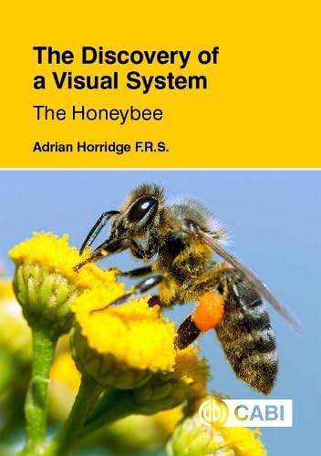 DISCOVERY OF A VISUAL SYSTEM - THE HONEYBEE
