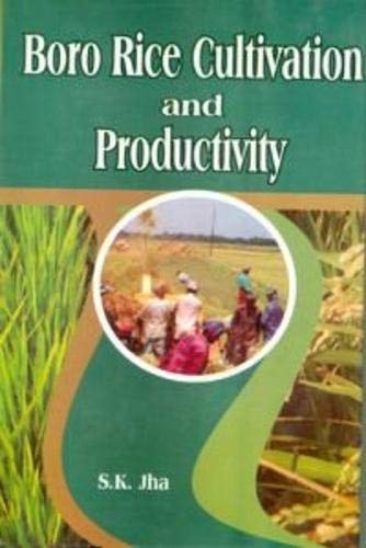 Boro Rice Cultivation and Productivity - Hardcover