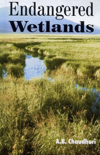 Endangered Wetlands