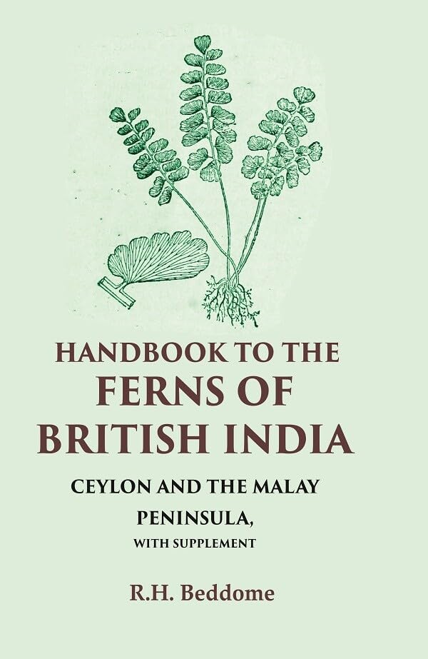 Handbook to the Ferns of British India Ceylon and the Malay Peninsula, with Supplement - Paperback