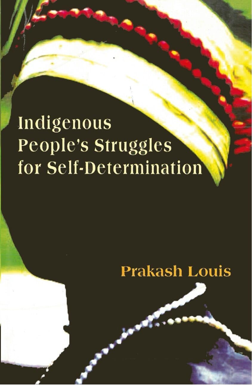 Indigenous People's Struggles For Self - Paperback