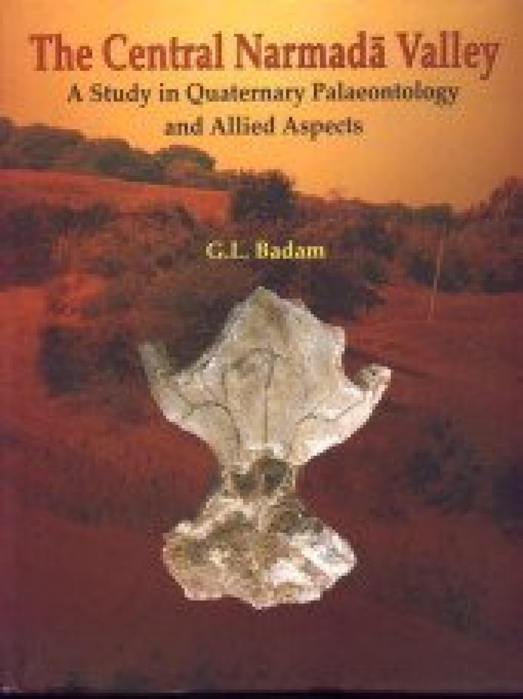 Central Narmada Valley — A Study in Quaternary Palaeontology and Allied Aspects -Hardcover