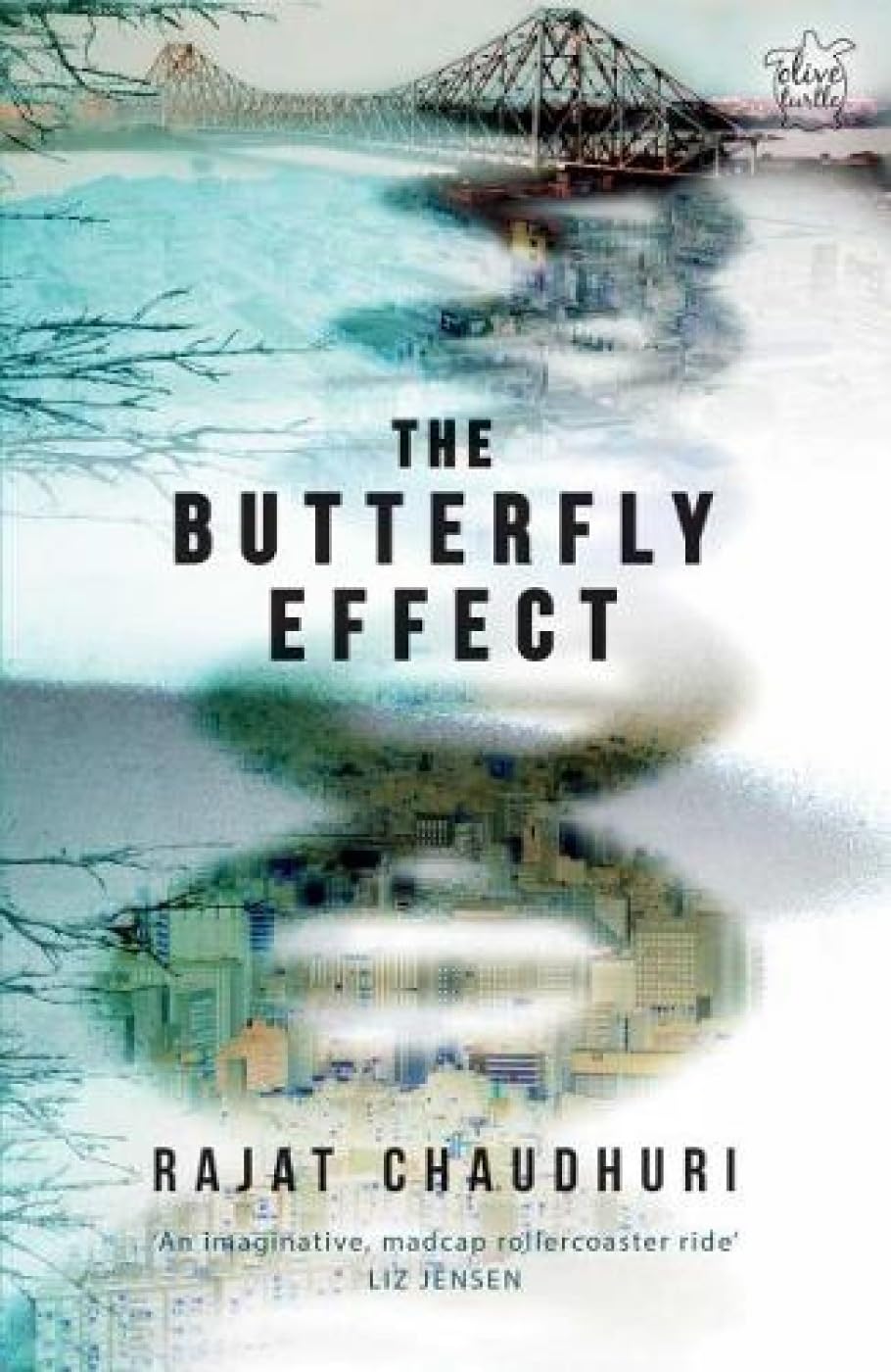 Butterfly Effect (Paperback)
