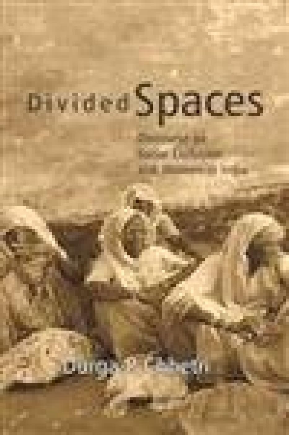 Divided Spaces: Discourse On Social Exclusion and Women in India