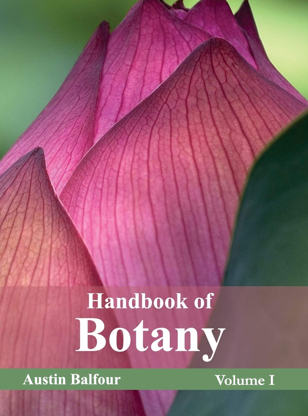 Handbook of Botany Vol 1