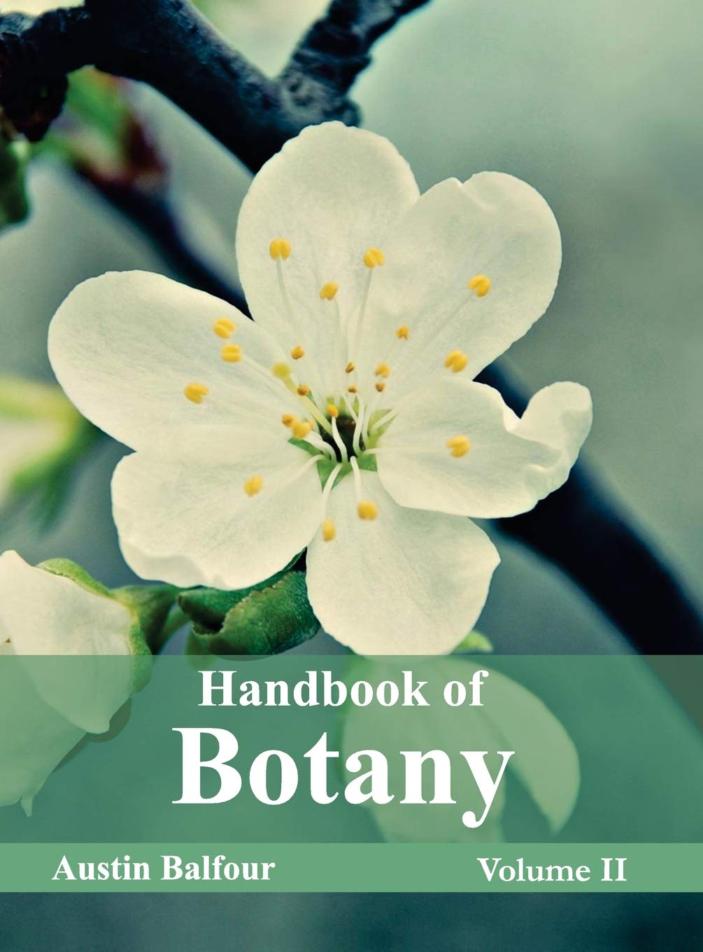 Handbook of Botany Vol 2