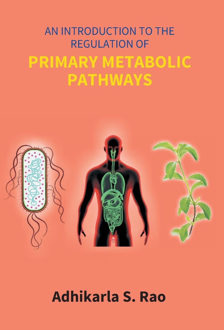 An Introduction to the Regulation of Primary Metabolic Pathways