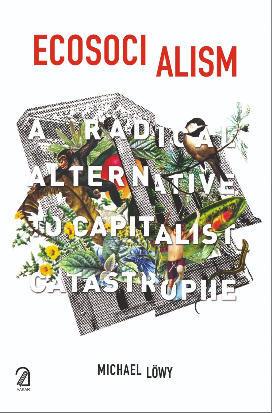 Ecosocialism: A Radical Alternative to Capitalist Catastrophe