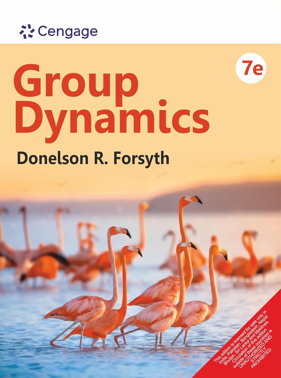GROUP DYNAMICS, 7TH EDITION