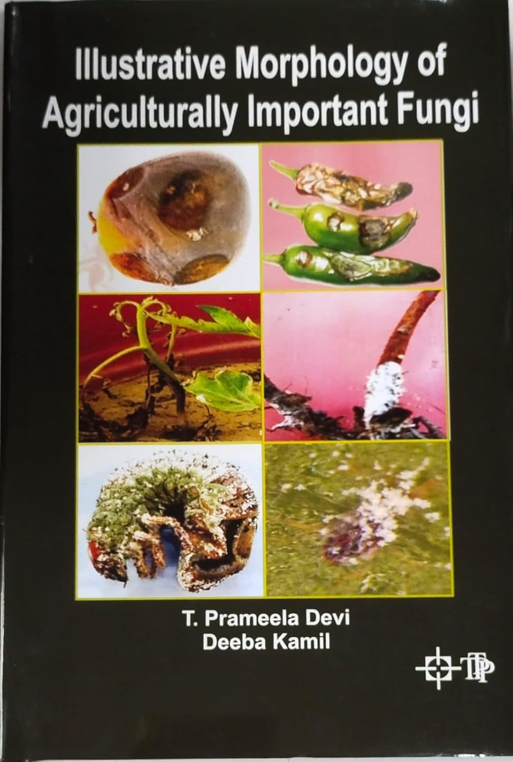 Illustrative Morphology of Agriculturally Important Fungi