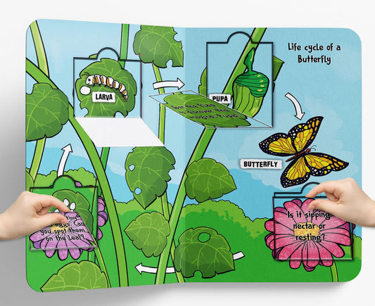 Lift the Flap: Life cycles