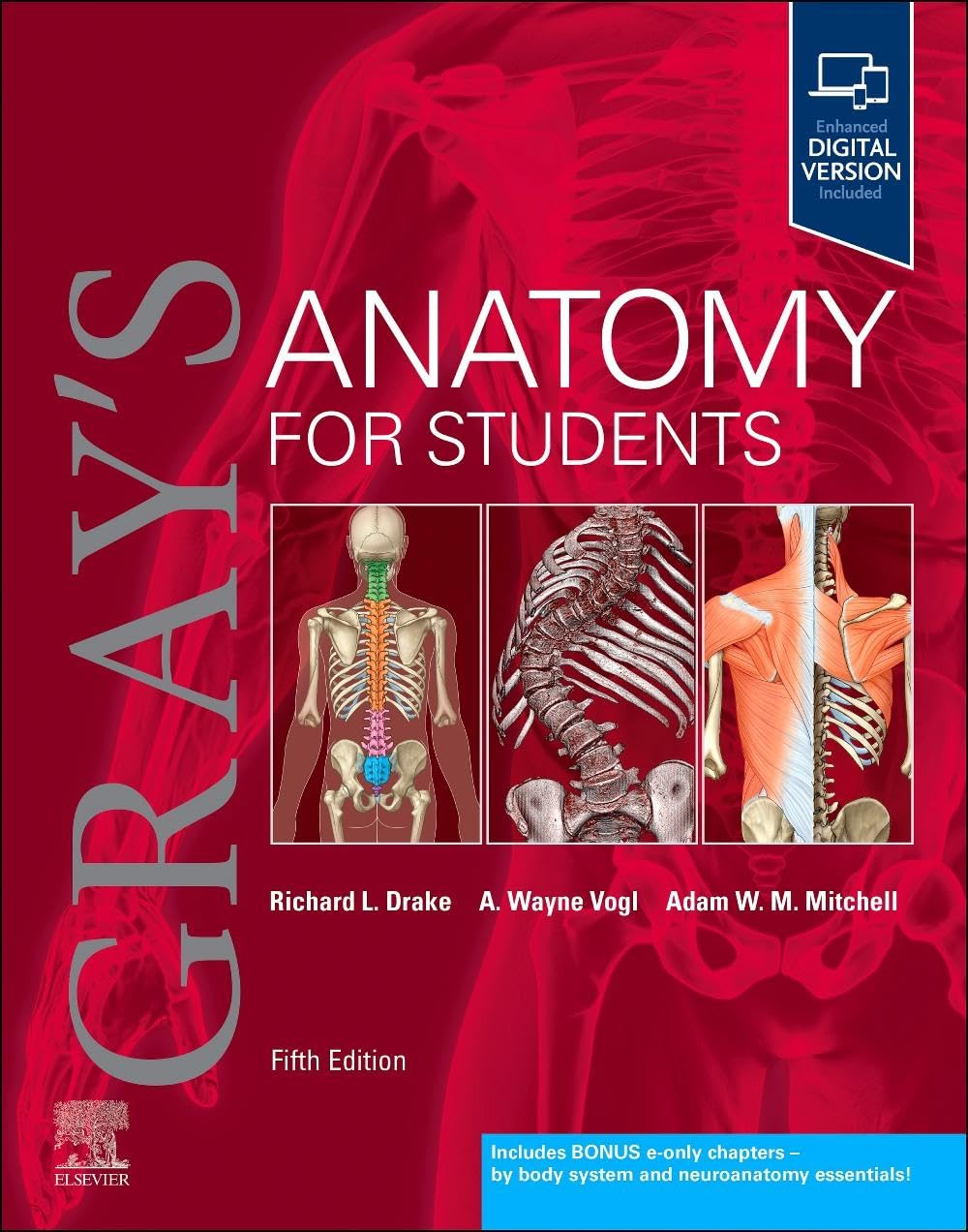 GRAY'S ANATOMY FOR STUDENTS: 5ED