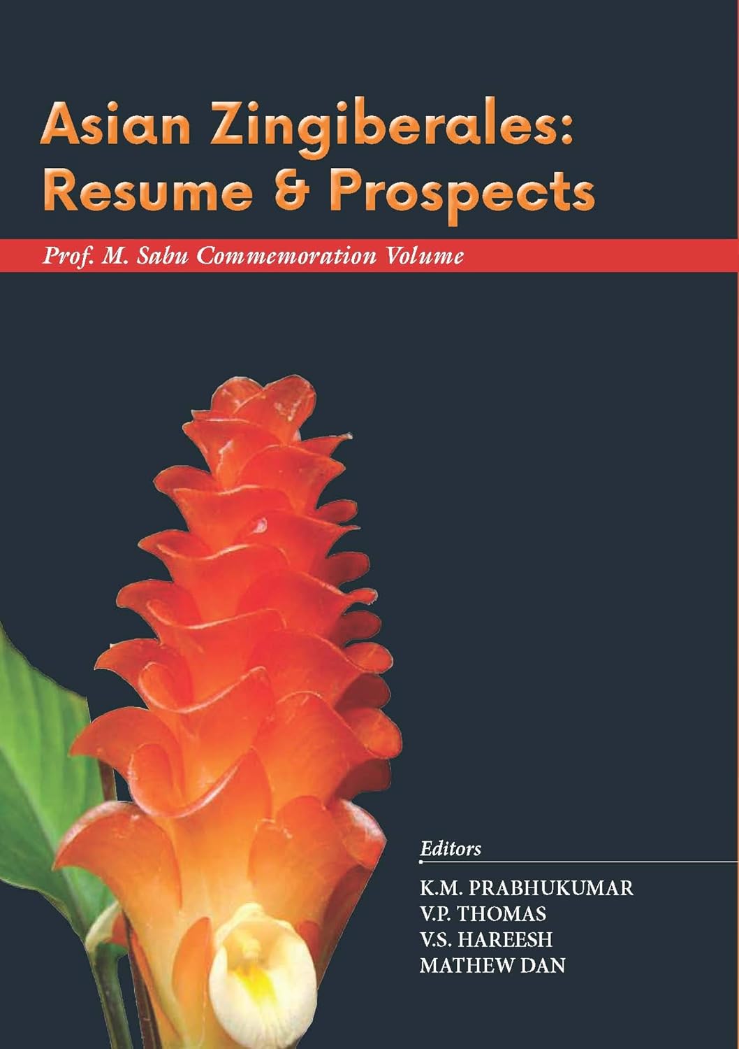 Asian Zingiberales: Resume and Prospects