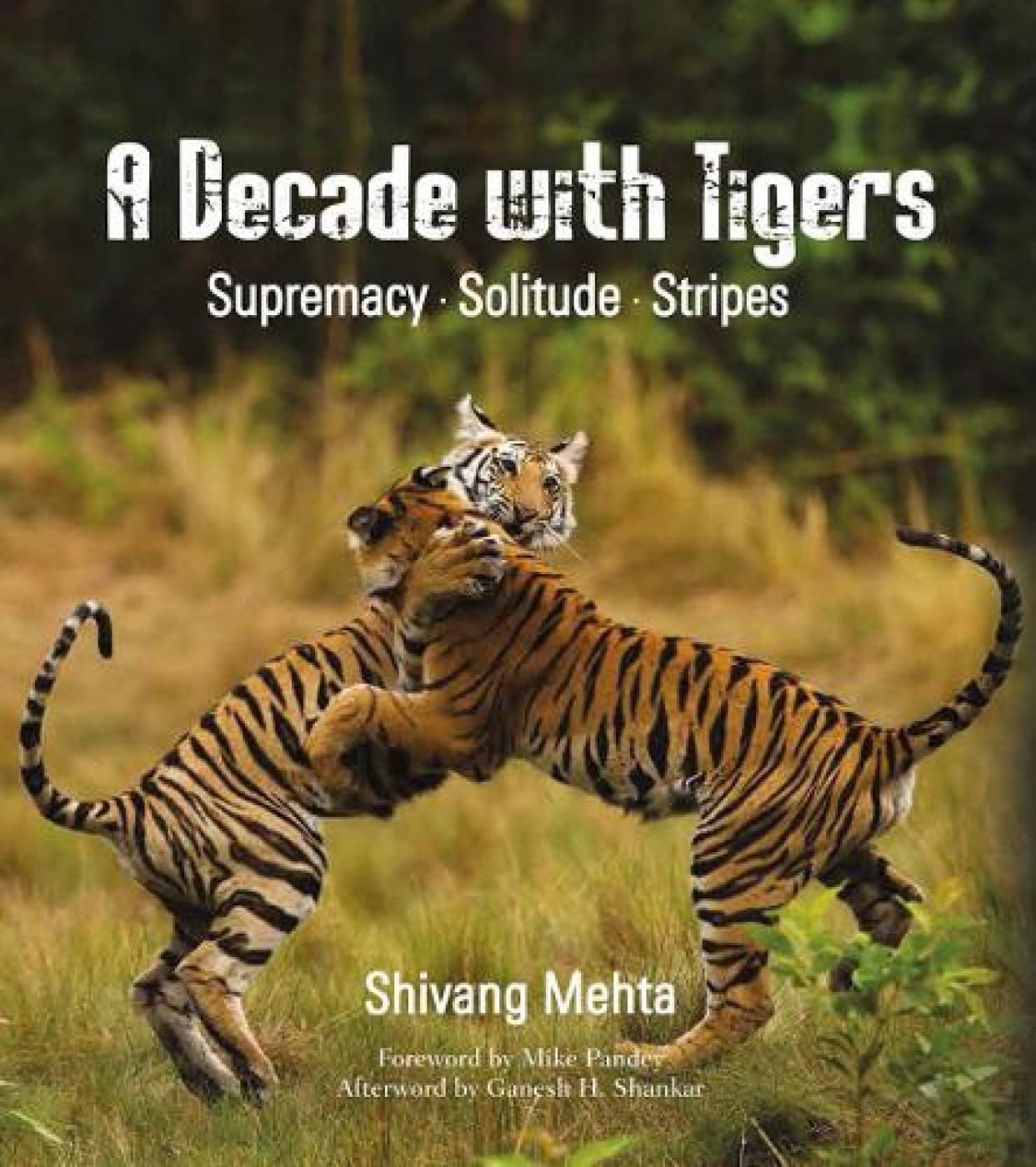 Decade with Tigers: Supremacy Solitude Stripes