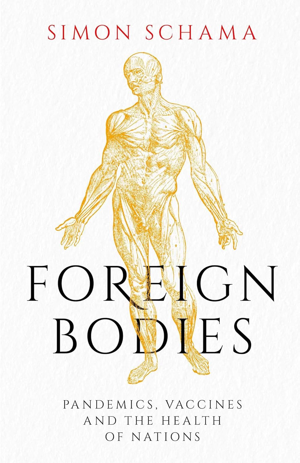 FOREIGN BODIES, SIMON SCHAMA