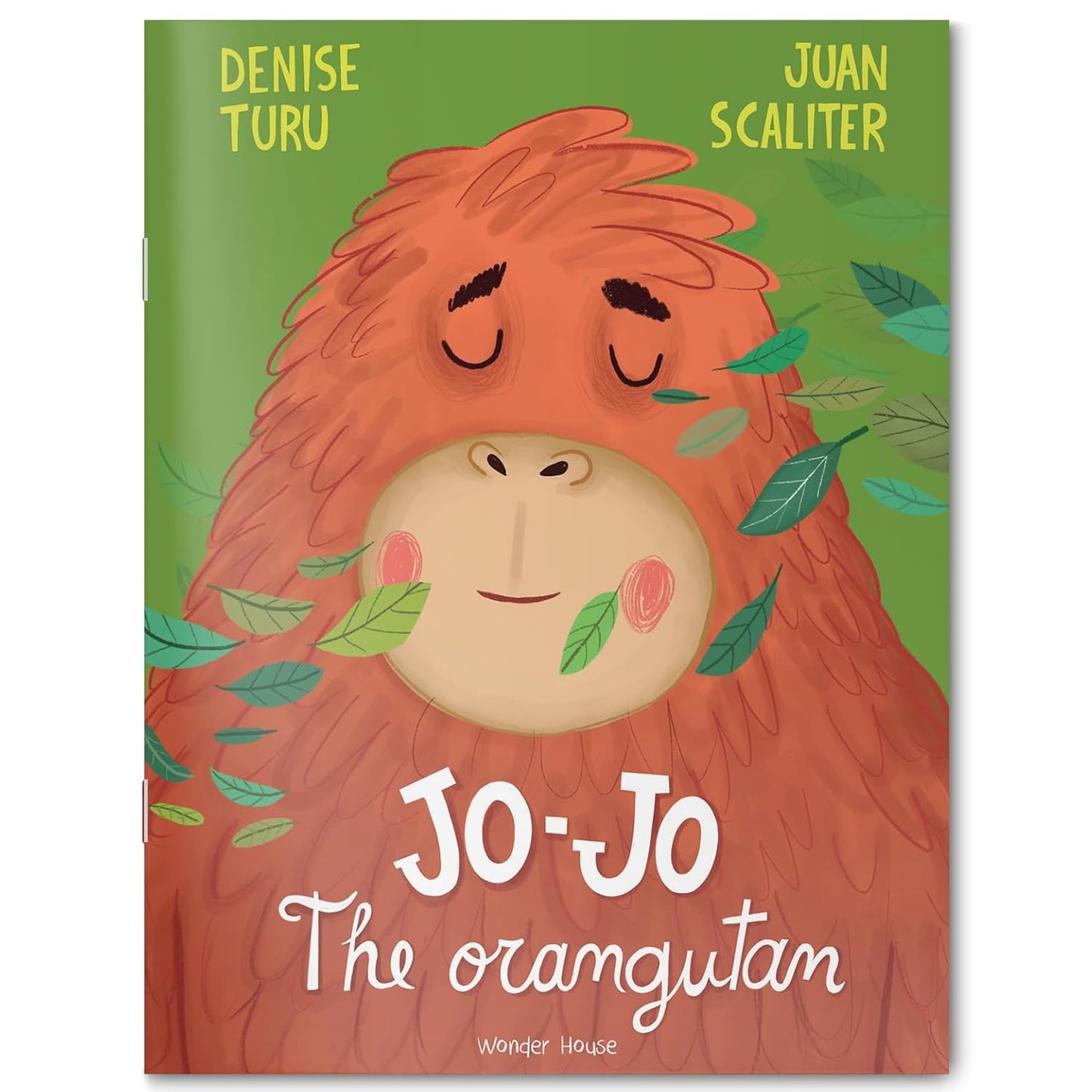 Jo-Jo The Orangutan – Illustrated Picture Book For Children