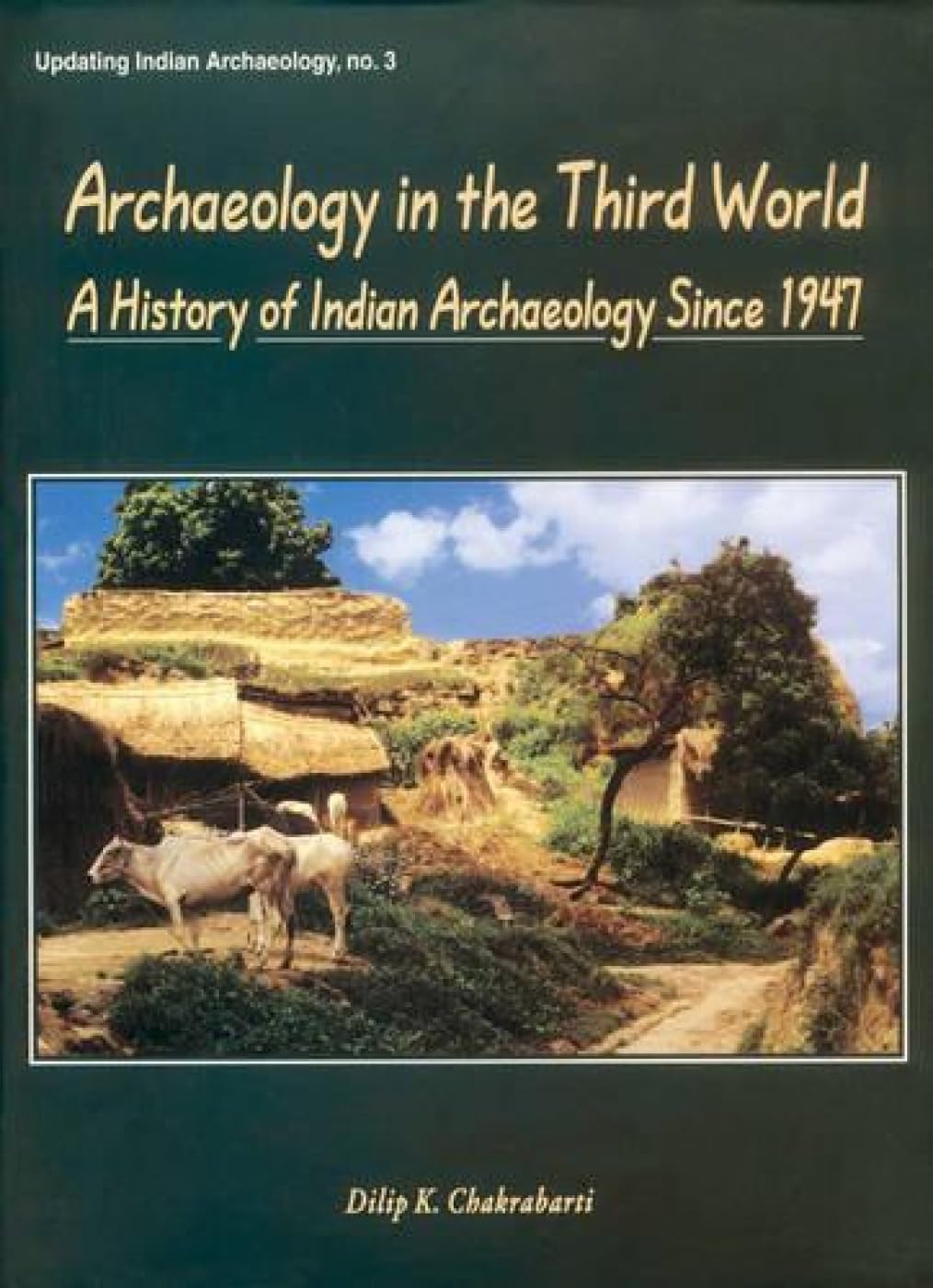 Archaeology in the Third World -Hardcover