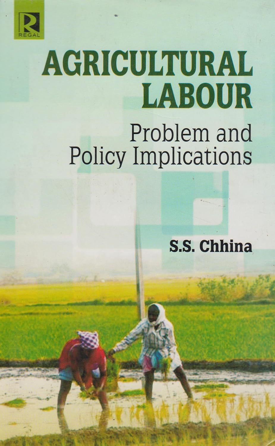 Agricultural Labour: Problem and Policy Implications