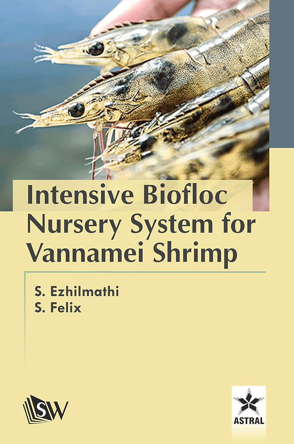 Intensive Biofloc Nursery System for Vannamei Shrimp