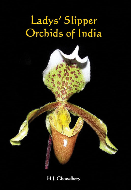 Lady`s Slipper Orchids of India