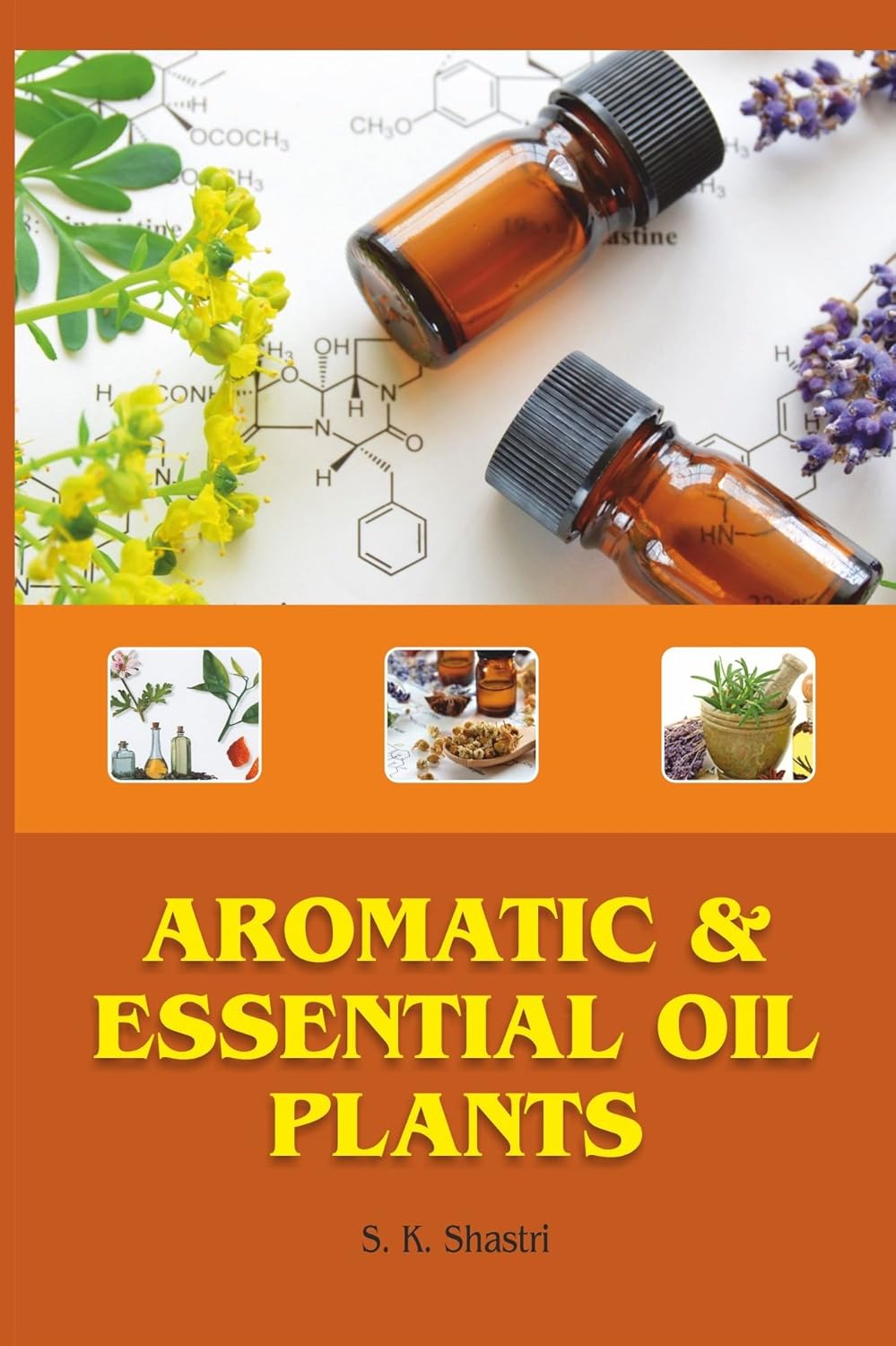 Aromatic And Essential Oil Plants