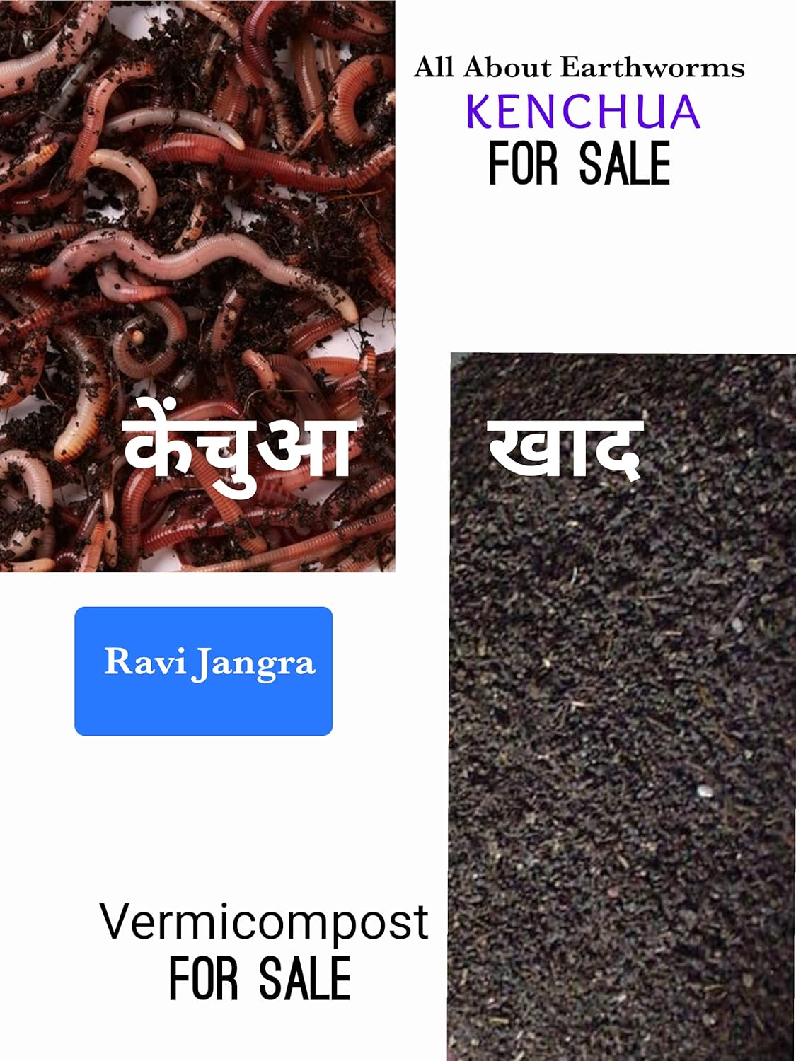 All About Earthworms