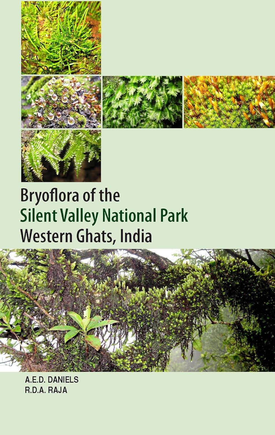 Bryoflora of the Silent Valley National Park Western Ghats, India