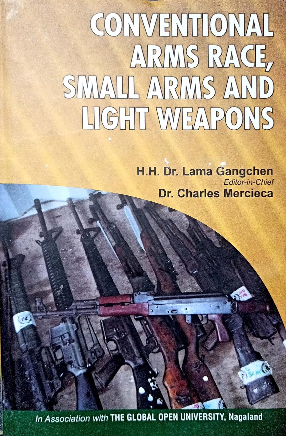 Conventional Arms Race, Small Arms and Light Weapons - Paperback