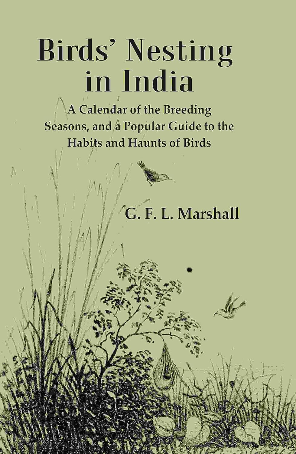 Birds’ Nesting in India: A Calendar of the Breeding Seasons, and a Popular Guide to the Habits and Haunts of Birds - Paperback