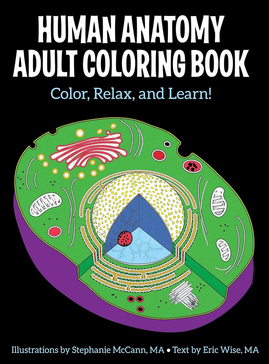 HUMAN ANATOMY ADULT COLORING BOOK, STEPHANIE MCCANN