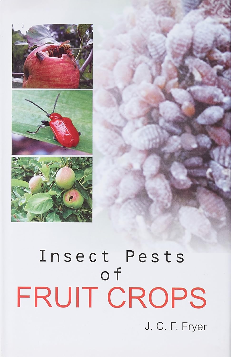 Insect Pests of Fruit Crops