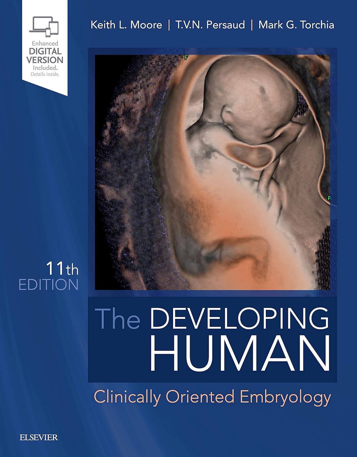 The Developing Human -11E
