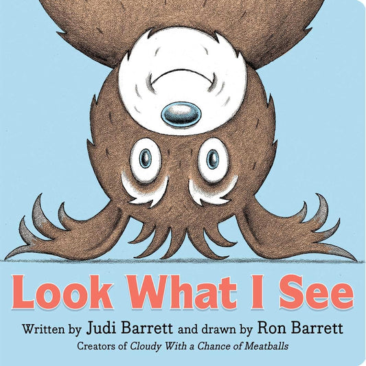LOOK WHAT I SEE, JUDI BARRETT