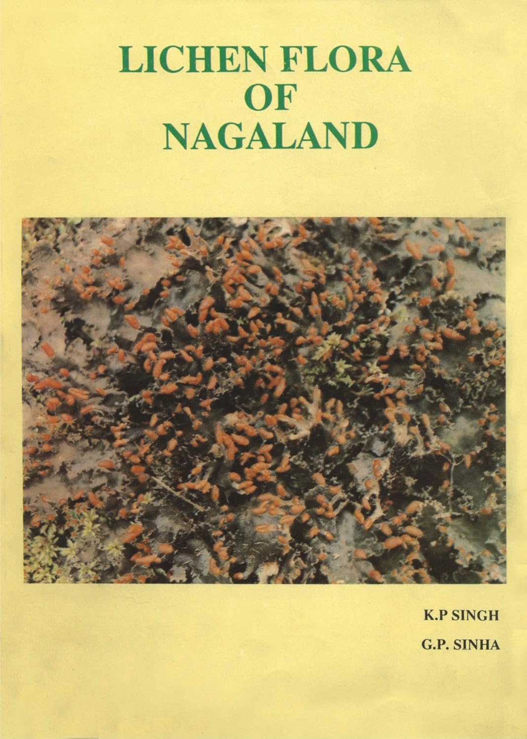 Lichen Flora of Nagaland