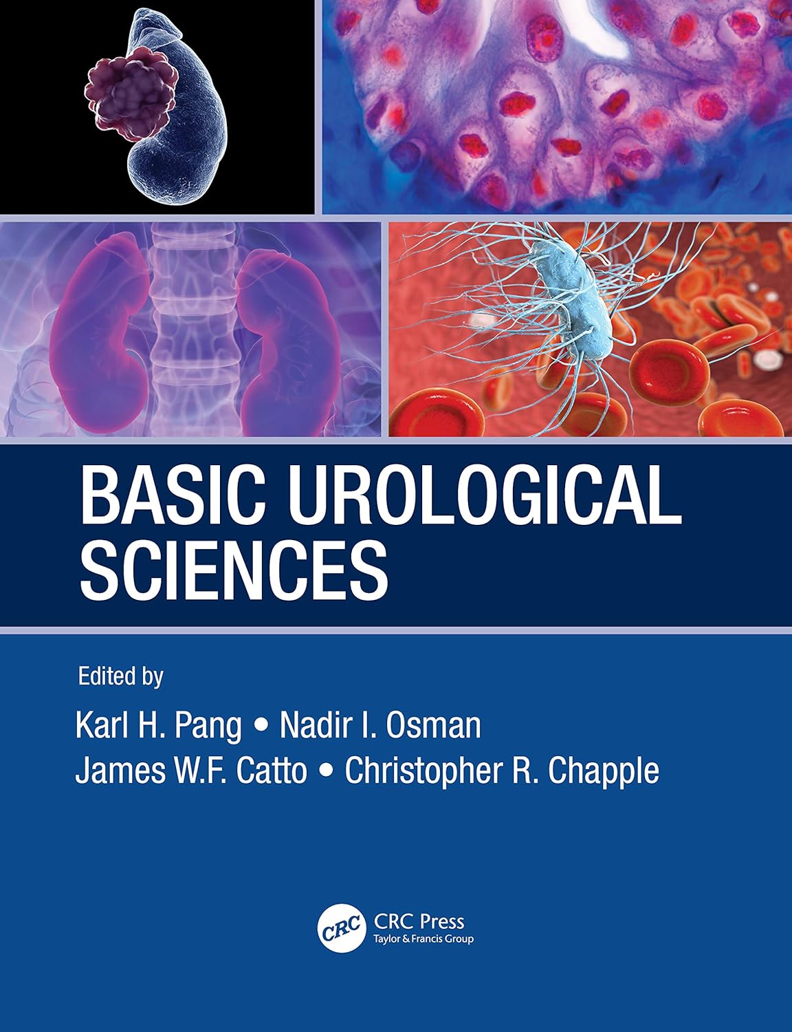 BASIC UROLOGICAL SCIENCES (Paperback 2021)