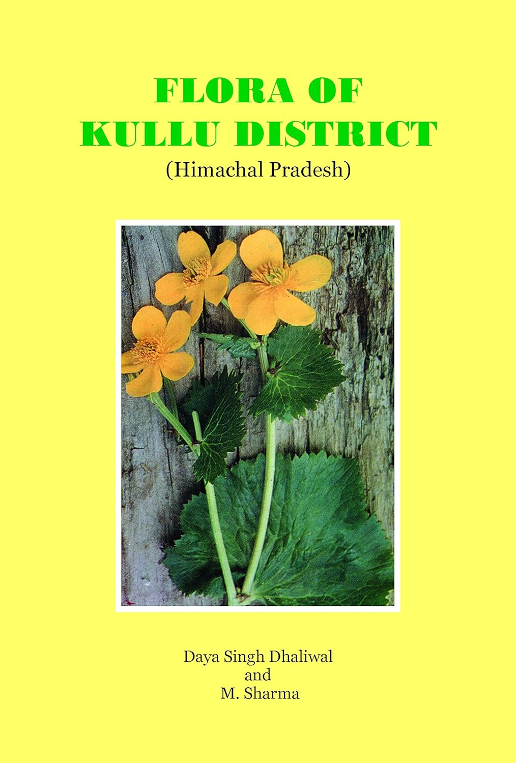 Flora of Kullu District Himachal Pradesh