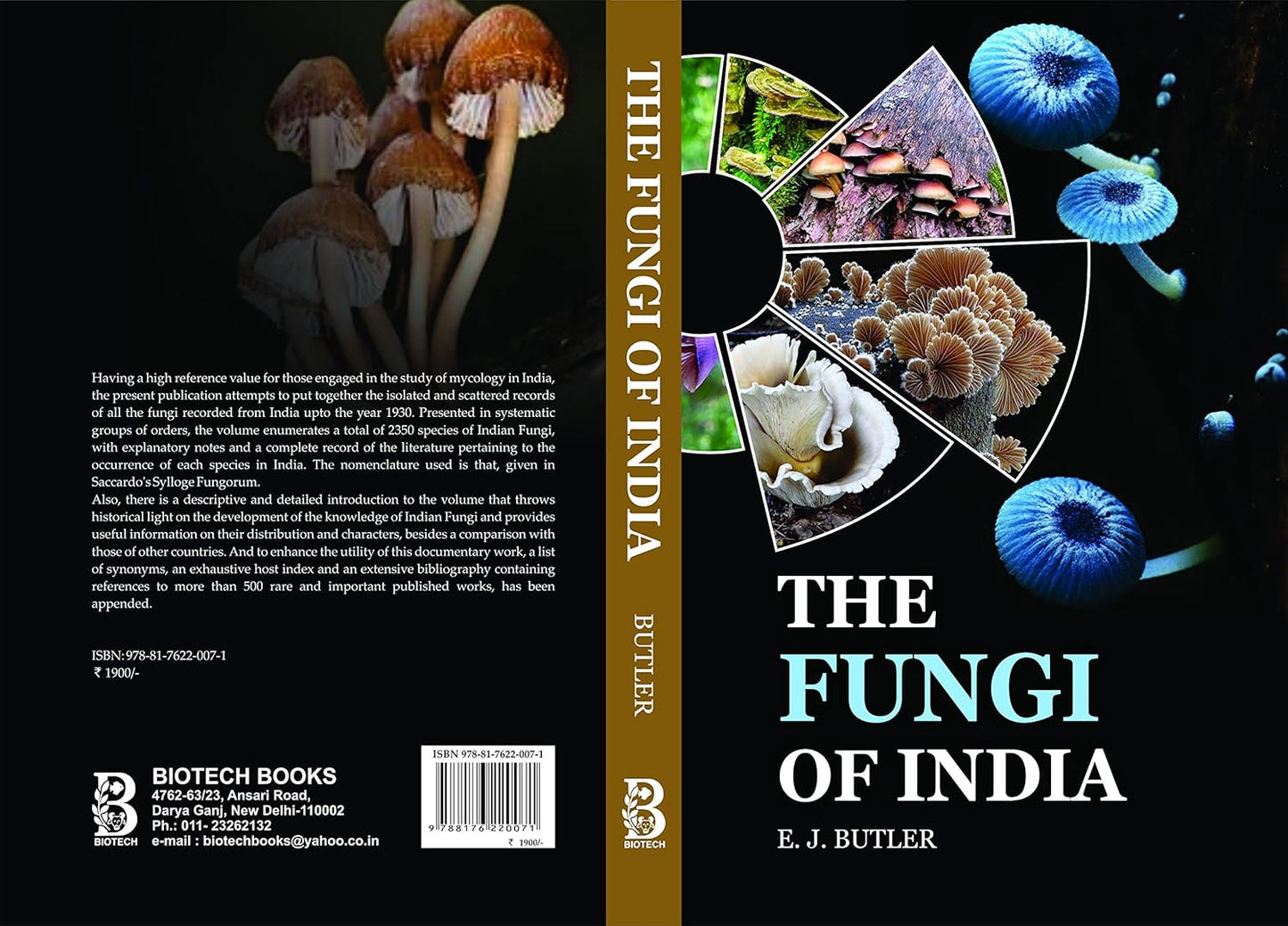 Fungi of India