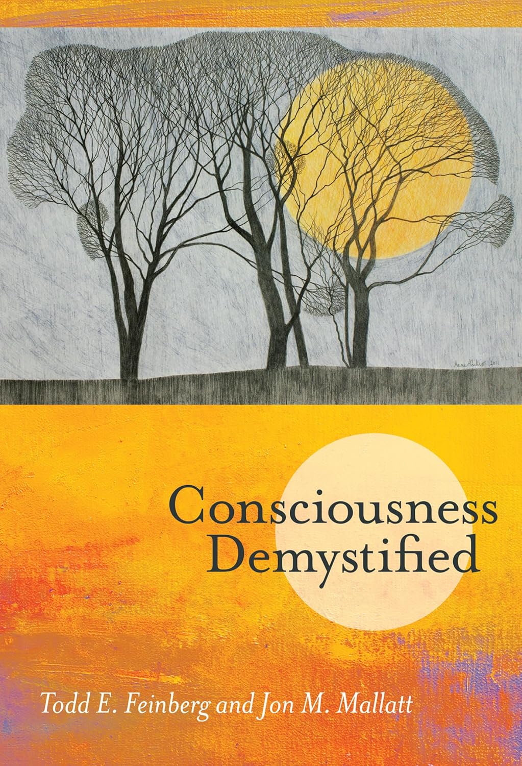 CONSCIOUSNESS DEMYSTIFIED