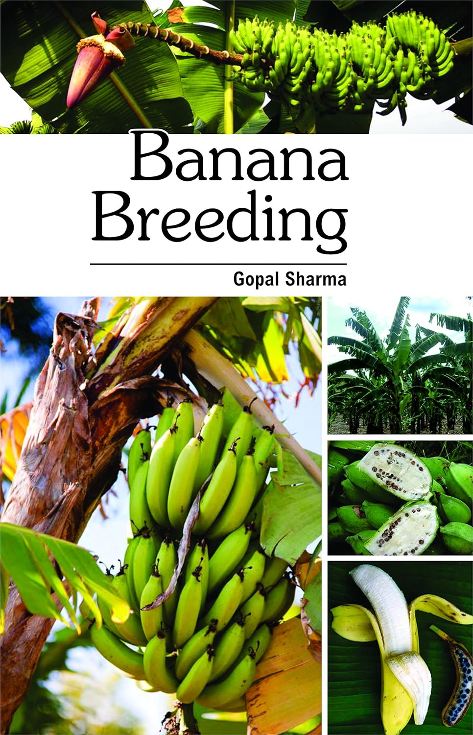 Banana Breeding