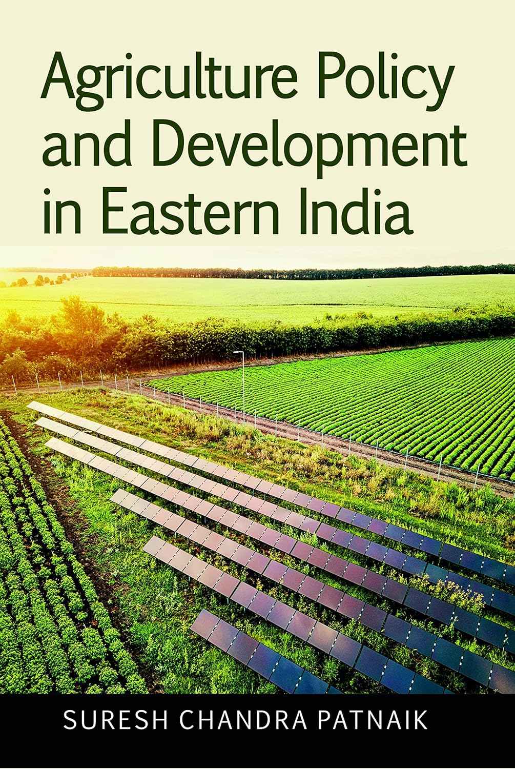 Agriculture Policy and Development in Eastern India