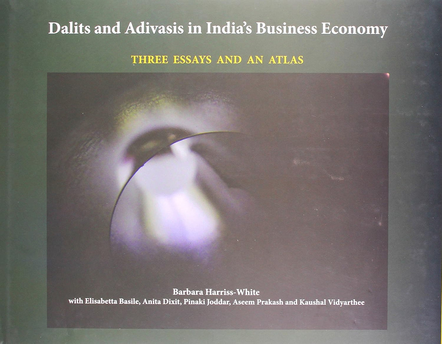 Dalits and Adivasis in India's Business Economy - Three Essays and An Atlas