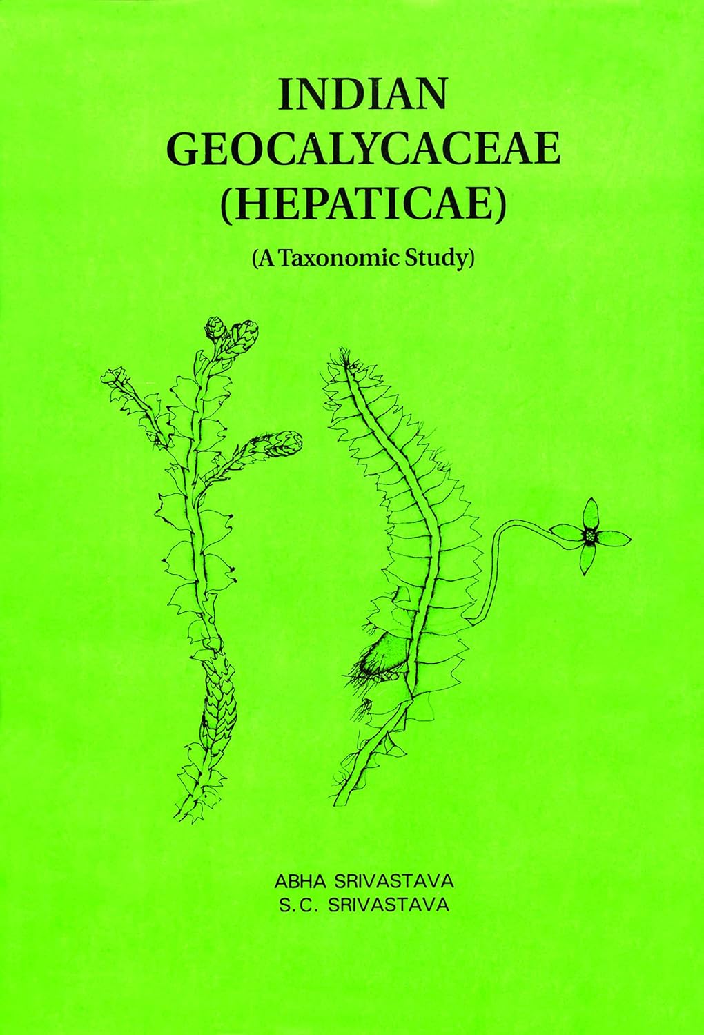 Indian Geocalycaceae Hepaticae: A Taxonomic Study
