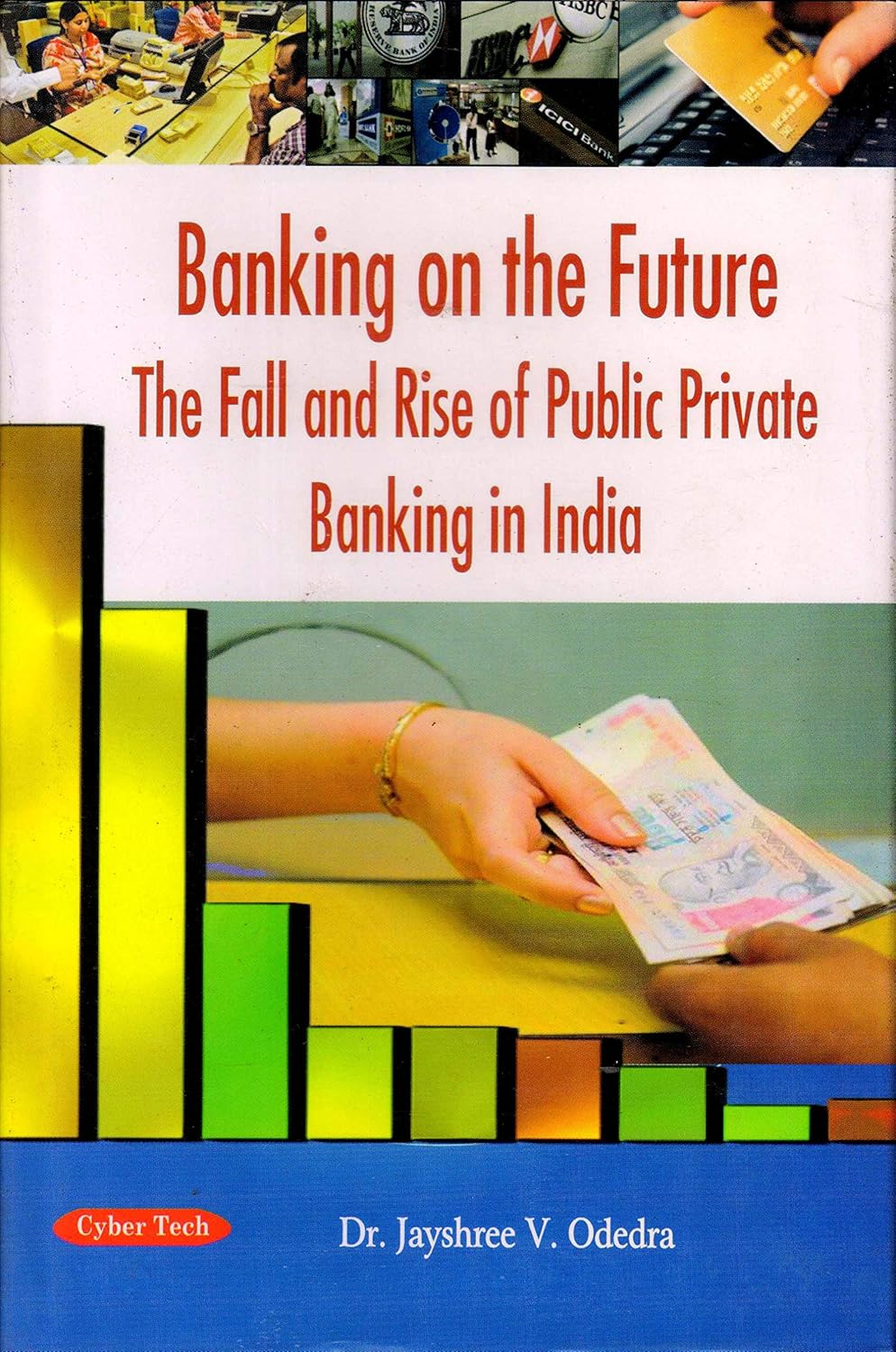 Banking on the Future The Fall and Rise of Public Private Banking in India