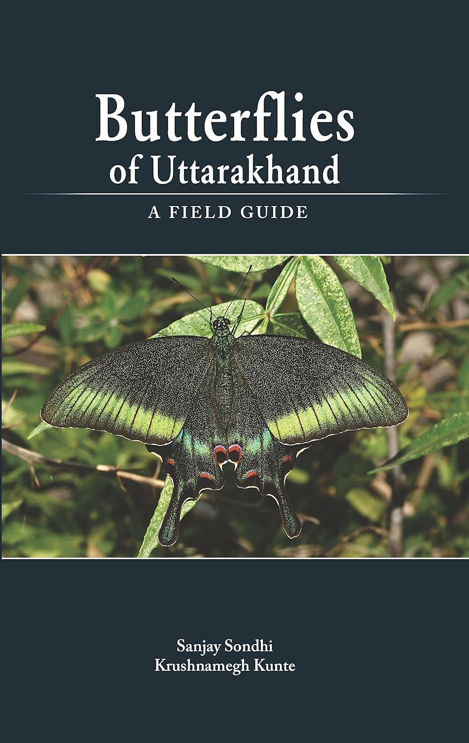 Butterflies of Uttarakhand: A Field Guide (PB)
