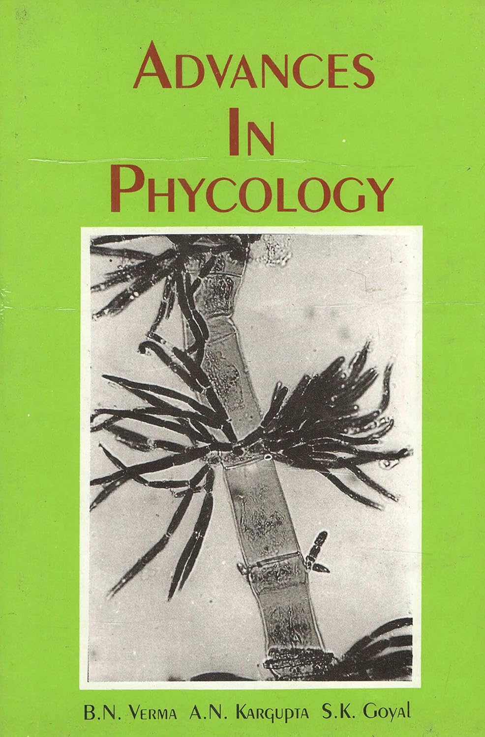 Advances in Phycology